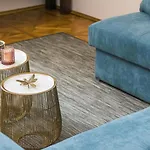 Spacious Apartment In Krakow Old Town